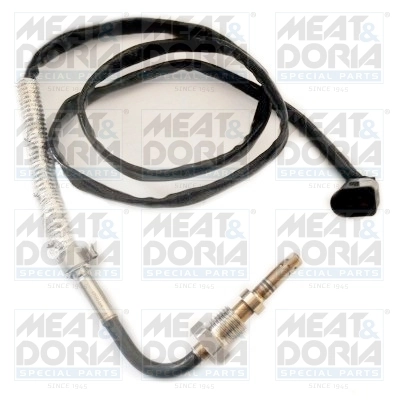 Sensor, exhaust gas temperature